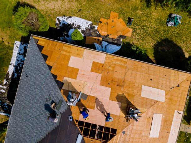 Best Storm Damage Roof Repair  in Cortez, FL