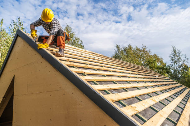 Best Roof Gutter Cleaning  in Cortez, FL